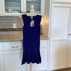 Ronny Kobo Blue Sleeveless Bandage Knit Dress NWT Size Small